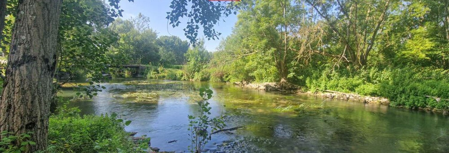 Maison 10 Pièces 1000 m² à vendre à Bougneau (17800)