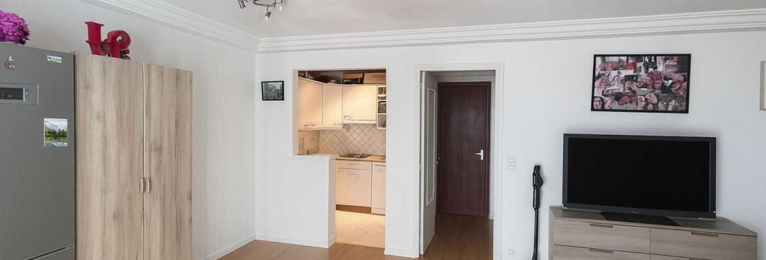 Appartement 1 Pièce 27 m² à vendre à Le Cannet (06110)