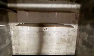 Commerce   m² à louer à Mandelieu-la-Napoule (06210)