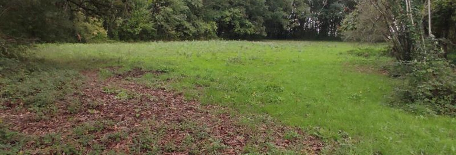 Terrain  3354 m² à vendre à Saint-Astier (24110)