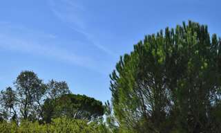 Maison 6 Pièces 130 m² à vendre à Uzès (30700)