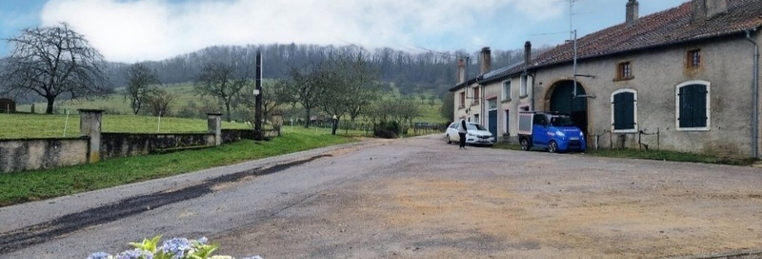 Maison 10 Pièces 250 m² à vendre à Gironcourt-sur-Vraine (88170)