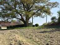 Dpt Gers (32), à vendre proche d'AIGNAN - Terrain de 4 817 m² — photo 4