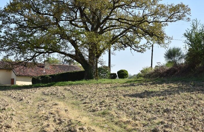 Dpt Gers (32), à vendre proche d'AIGNAN - Terrain de 4 817 m² — photo 4