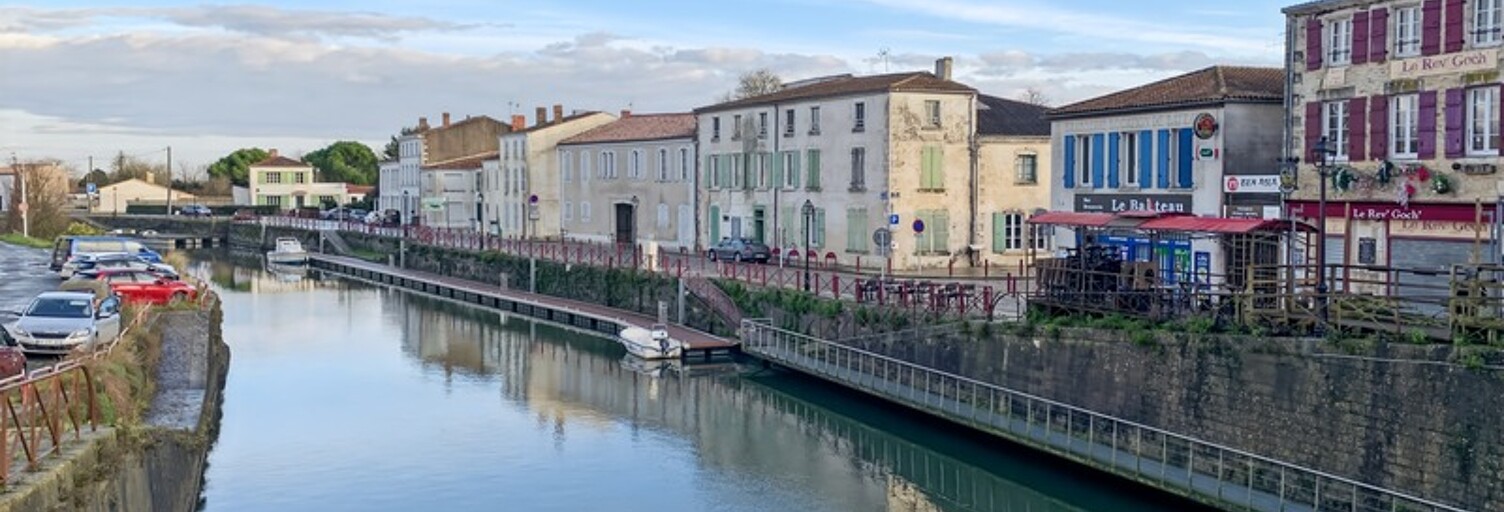 Immeuble 206 m² en viager Marans (17230)