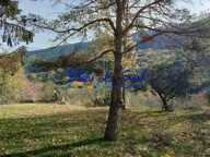 Une oasis de calme au milieu de la nature — photo 4