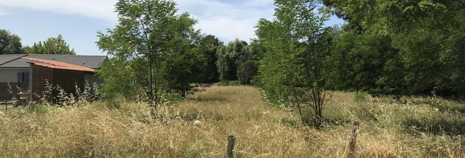 Maison 85 m² à construire Hostens (33125)