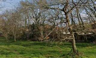 Maison 62 m² à construire Gastes (40160)