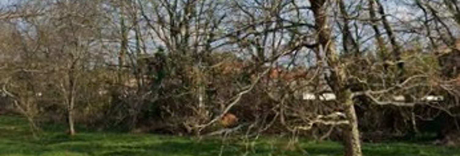 Maison 62 m² à construire Gastes (40160)