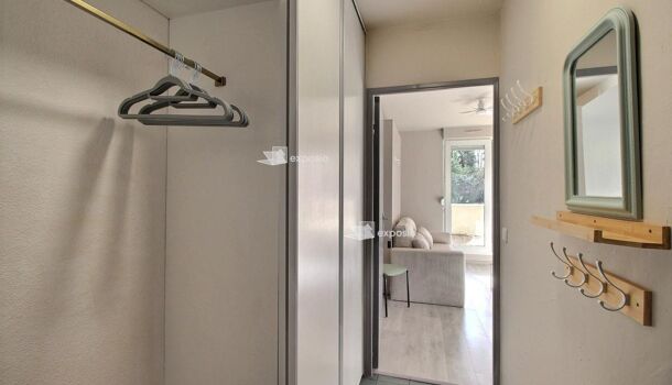 Appartement 2 pièces  à louer Pau 64000