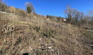 Terrain  1560 m² à vendre à Saulxures-sur-Moselotte (88290)