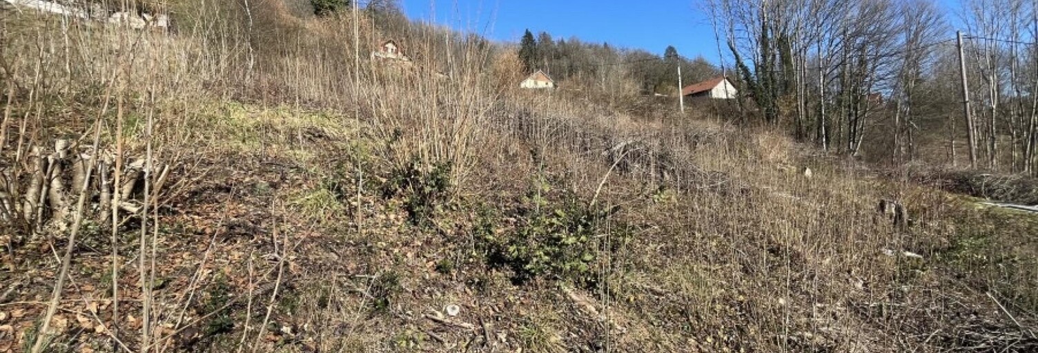 Terrain  1560 m² à vendre à Saulxures-sur-Moselotte (88290)