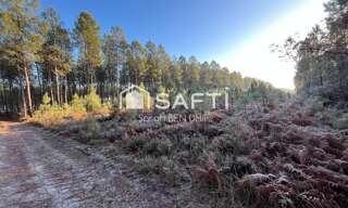 Terrain  11400 m² à vendre à Saint-Léger-de-Balson (33113)