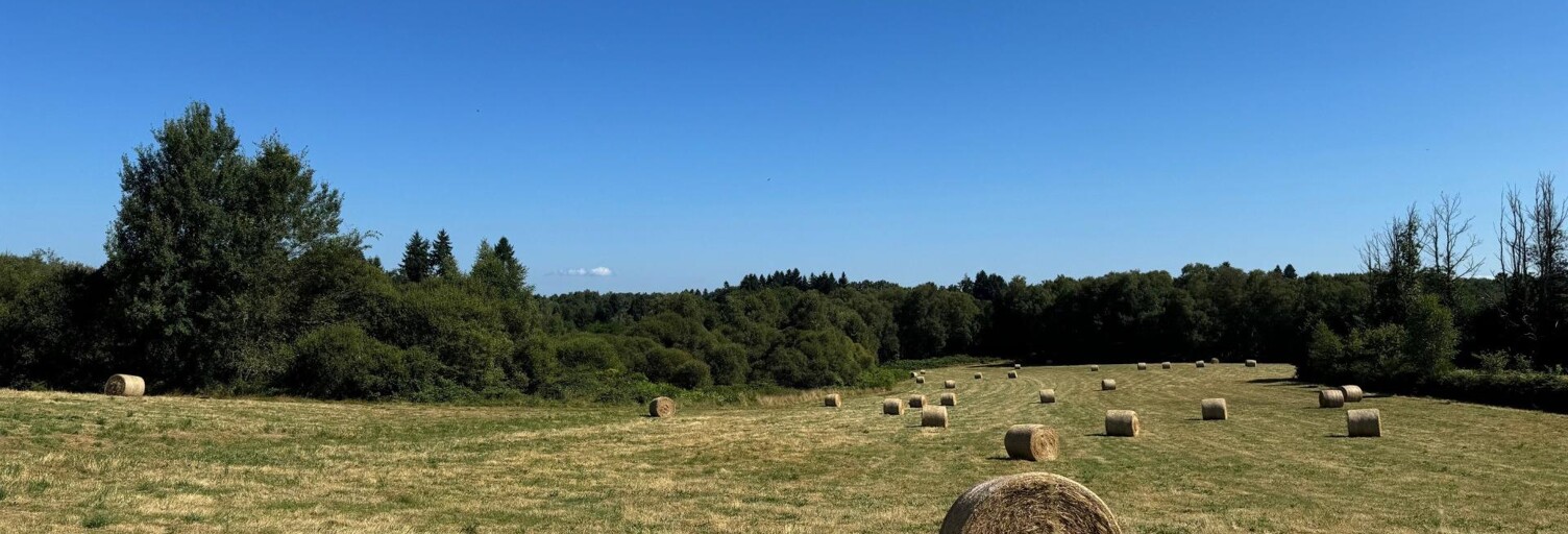 Maison 7 Pièces 70 m² à vendre à Cussac (87150)