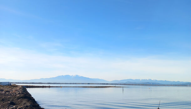 Appartement 1 pièces  à vendre Barcarès (Le) 66420