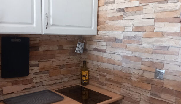 Appartement 1 pièces  à vendre Barcarès (Le) 66420