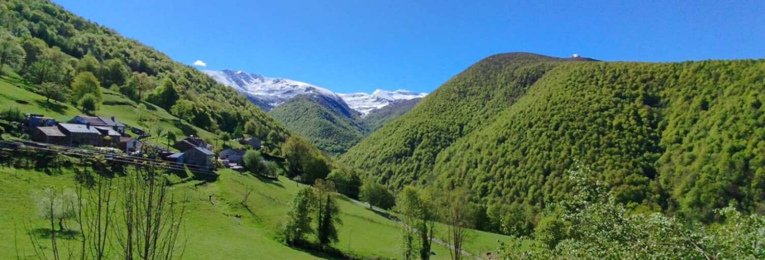 Maison 4 Pièces 155 m² à vendre à Massat (09320)