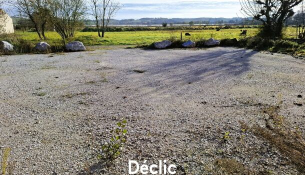 Terrain  à vendre Ambres 81500