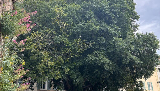 Appartement 2 pièces  à vendre Hyères 83400