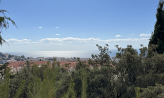 Appartement 1 Pièce 24 m² à vendre à Cannes (06400)