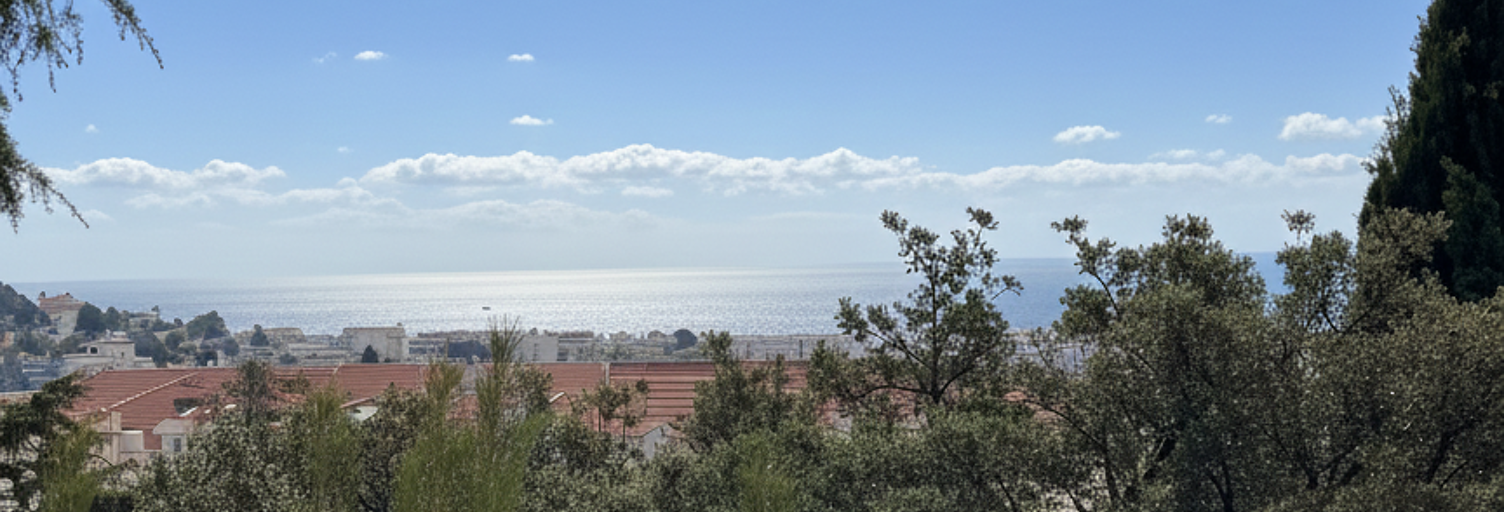 Appartement 1 Pièce 24 m² à vendre à Cannes (06400)