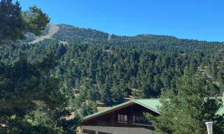 Appartement 1 Pièce 24 m² à vendre à Gréolières (06620)