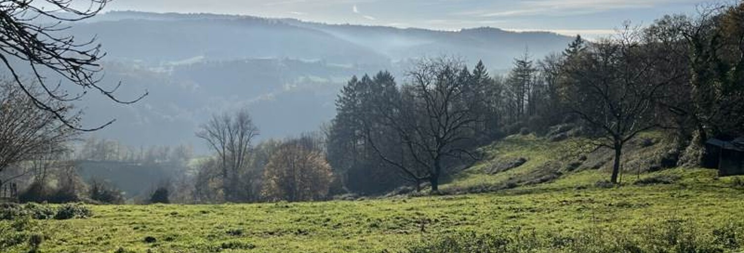 Terrain  20241 m² à vendre à Beynat (19190)