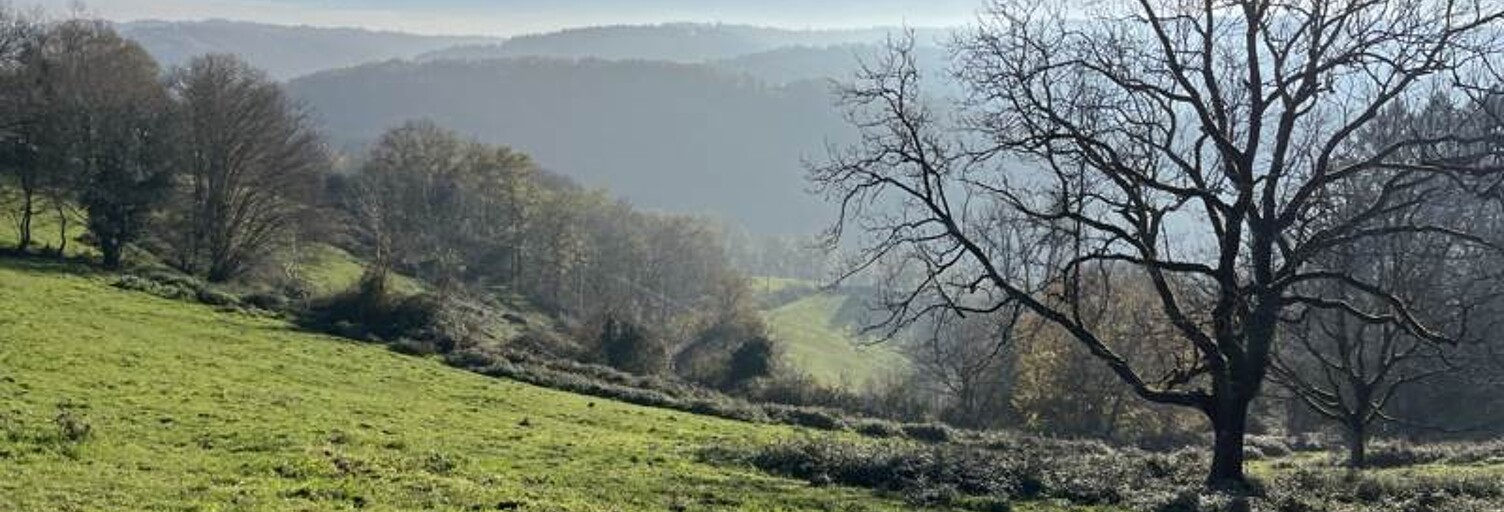 Terrain  20241 m² à vendre à Beynat (19190)