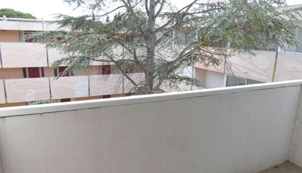 Appartement 1 pièces  à louer Montpellier 34090