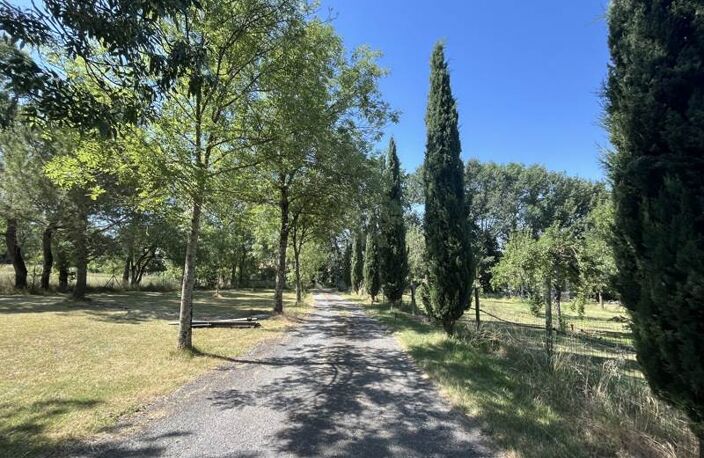 Traditionnelle de 4 pièces principales — photo 3