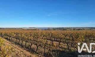 Terrain  15874 m² à vendre à Pollestres (66450)