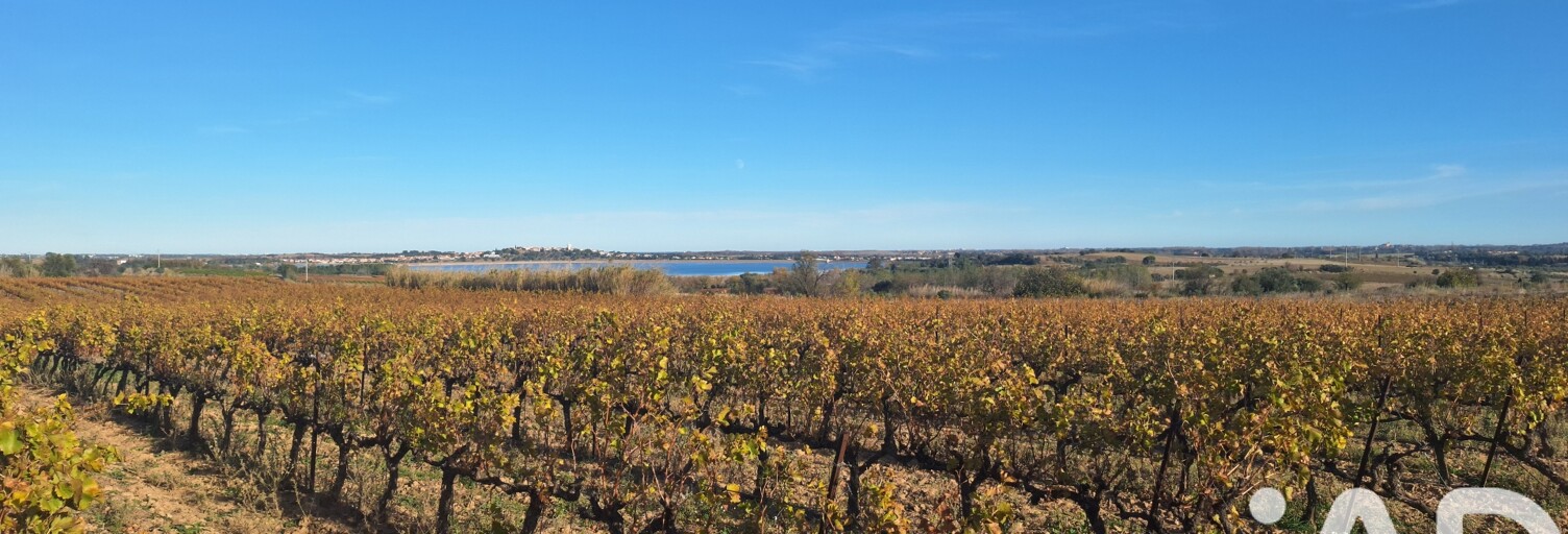 Terrain  15874 m² à vendre à Pollestres (66450)