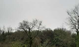 Terrain  8127 m² à vendre à Caurel (22530)