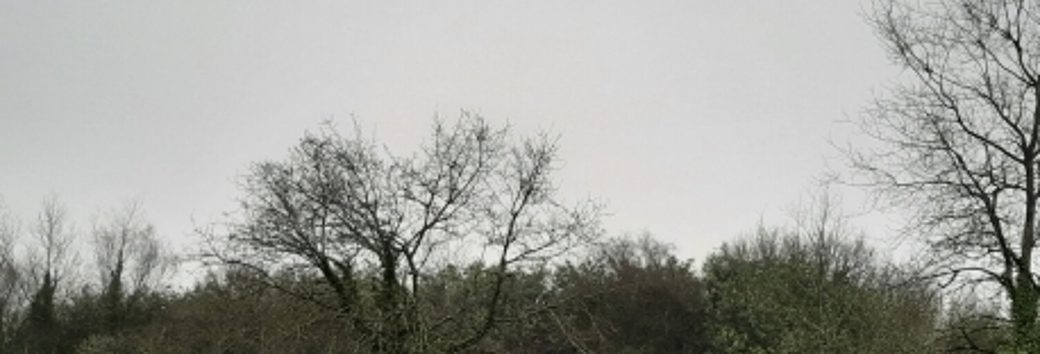 Terrain  8127 m² à vendre à Caurel (22530)