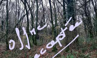 Terrain  8127 m² à vendre à Caurel (22530)