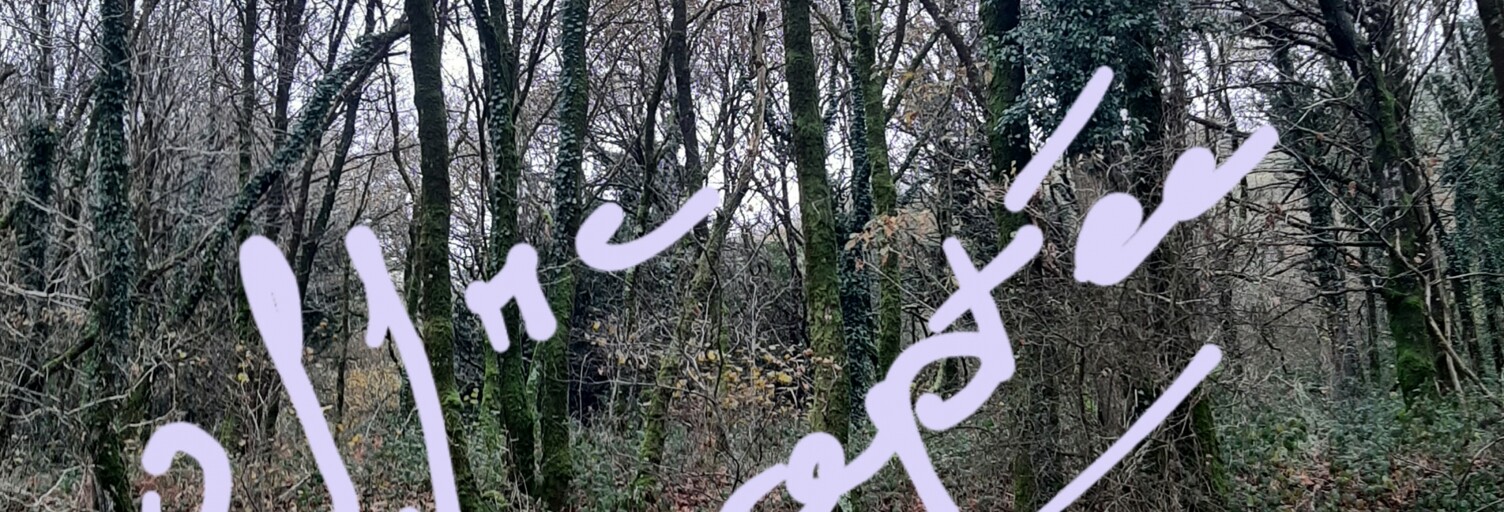 Terrain  8127 m² à vendre à Caurel (22530)