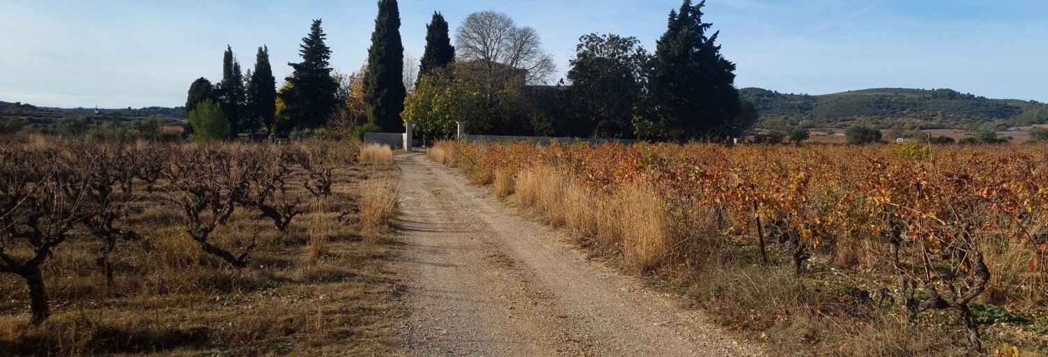 Maison 10 Pièces 538 m² à vendre à Jonquières (34725)