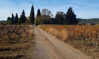 Maison 10 Pièces 538 m² à vendre à Jonquières (34725)