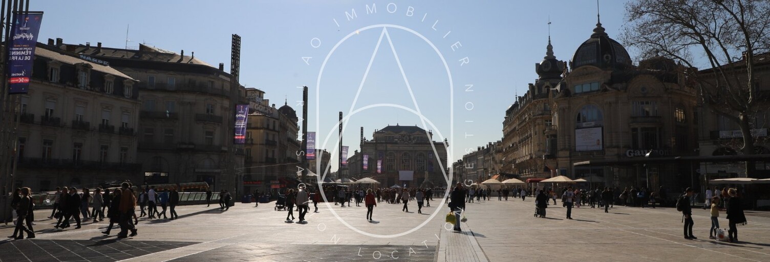 Appartement 1 Pièce 24 m² à vendre à Montpellier (34000)