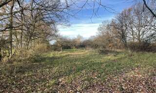 Terrain  2960 m² à vendre à Saint-Sylvestre-Pragoulin (63310)