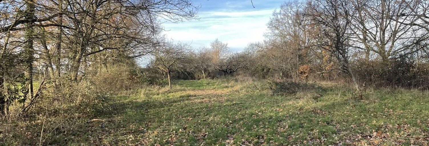 Terrain  2960 m² à vendre à Saint-Sylvestre-Pragoulin (63310)