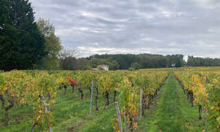 Terrain  1500 m² à vendre à Saint-Sauveur-de-Puynormand (33660)