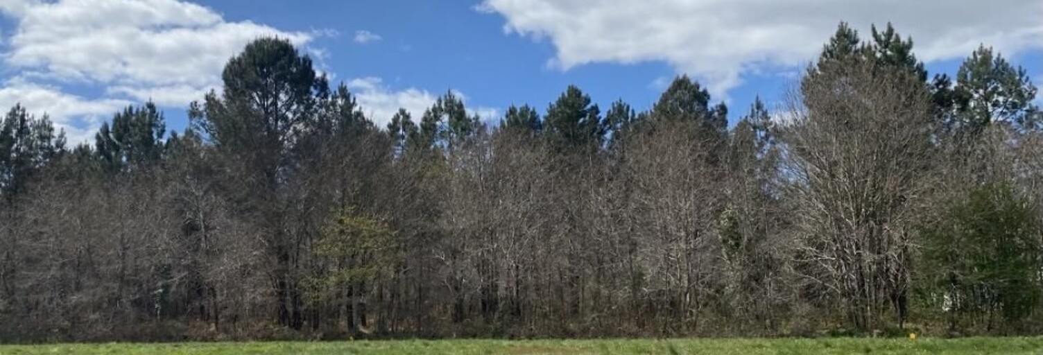 Terrain  750 m² à vendre à Saint-Selve (33650)