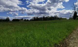 Terrain  806 m² à vendre à Grignols (33690)