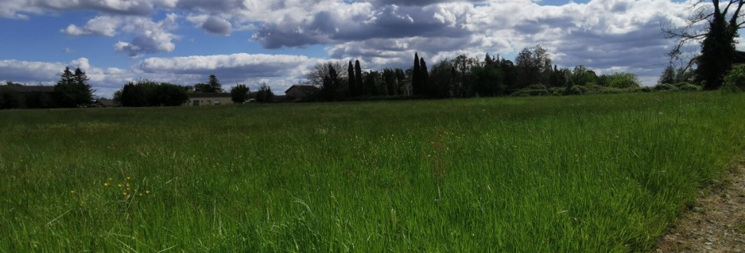 Terrain  806 m² à vendre à Grignols (33690)