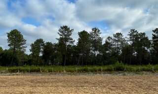 Terrain 485 m² à construire Parentis-en-Born (40160)