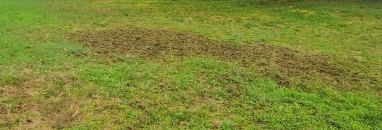 Terrain 1000 m² à construire Parentis-en-Born (40160)