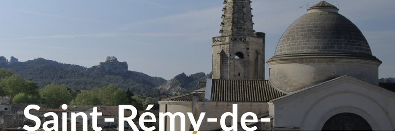 Appartement 1 Pièce 31 m² à vendre à Saint-Rémy-de-Provence (13210)