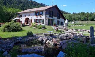 Maison 8 Pièces 198 m² à vendre à La Chapelle-devant-Bruyères (88600)