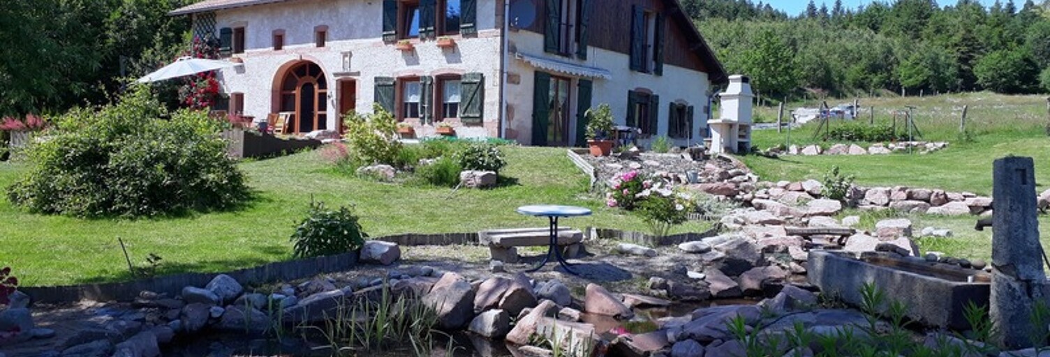 Maison 8 Pièces 198 m² à vendre à La Chapelle-devant-Bruyères (88600)